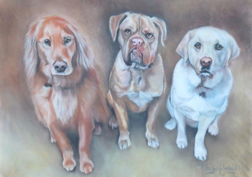 Three Doggie Portrait