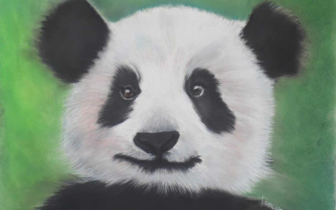 Panda in Chalk